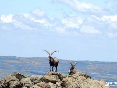 Morezón - Sierra de Gredos; arribes del duero senderismo excursiones cerca madrid ruta pedriza viaje